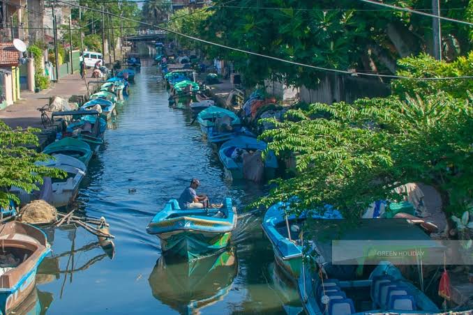 Dutch Canal, Negombo