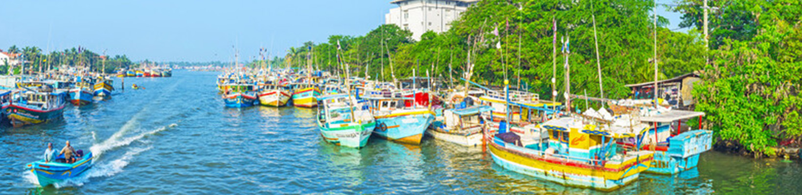 about-banner